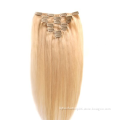 Wholesale Straight Weave Crochet Braid Hair  Virgin Brazilian Human Clip Hair Extension